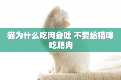 貓為什么吃肉會吐 不要給貓咪吃肥肉