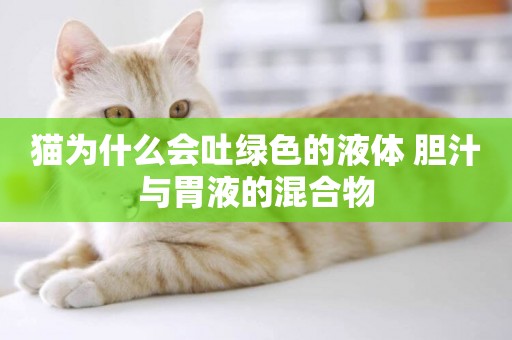 貓為什么會吐綠色的液體 膽汁與胃液的混合物