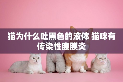 貓為什么吐黑色的液體 貓咪有傳染性腹膜炎
