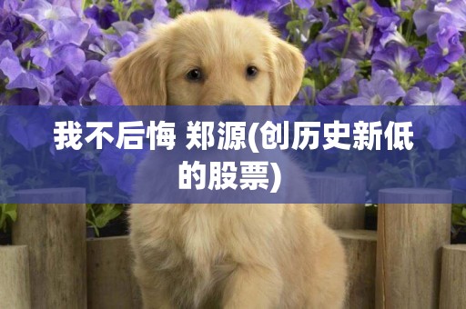 我不后悔 鄭源(創歷史新低的股票) 