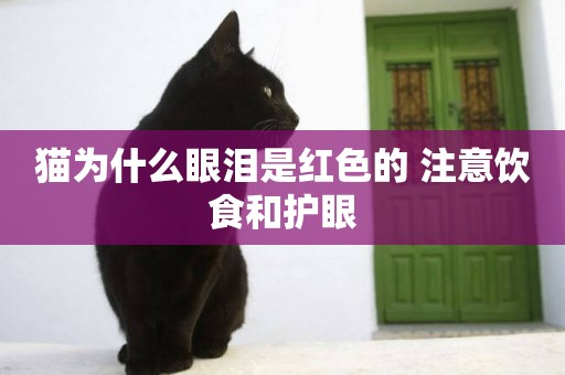 貓為什么眼淚是紅色的 注意飲食和護眼