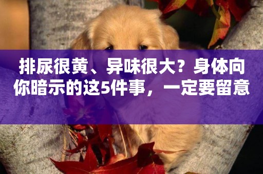排尿很黃、異味很大？身體向你暗示的這5件事，一定要留意 