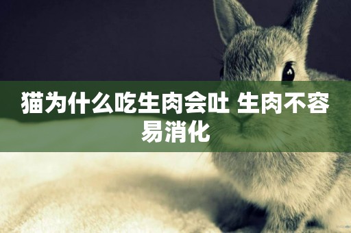 貓為什么吃生肉會吐 生肉不容易消化