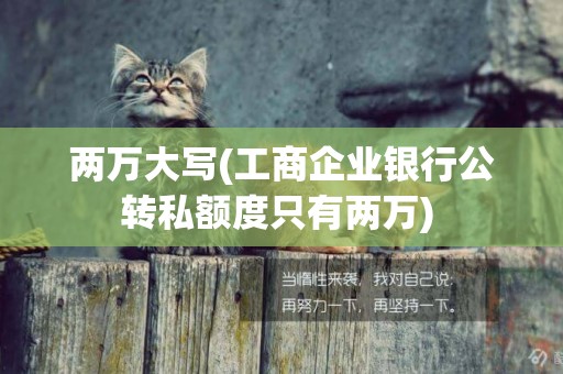兩萬大寫(工商企業銀行公轉私額度只有兩萬) 