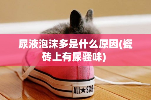 尿液泡沫多是什么原因(瓷磚上有尿騷味) 