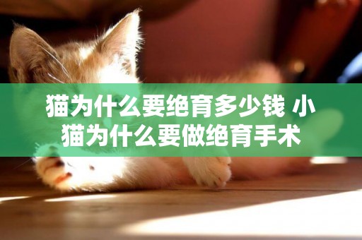 貓為什么要絕育多少錢 小貓為什么要做絕育手術