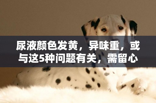尿液顏色發黃，異味重，或與這5種問題有關，需留心觀察 
