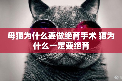 母貓為什么要做絕育手術 貓為什么一定要絕育