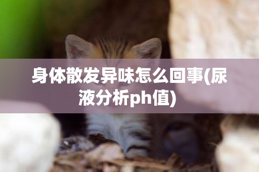 身體散發異味怎么回事(尿液分析ph值) 