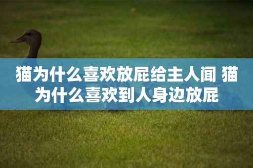 貓為什么喜歡放屁給主人聞 貓為什么喜歡到人身邊放屁