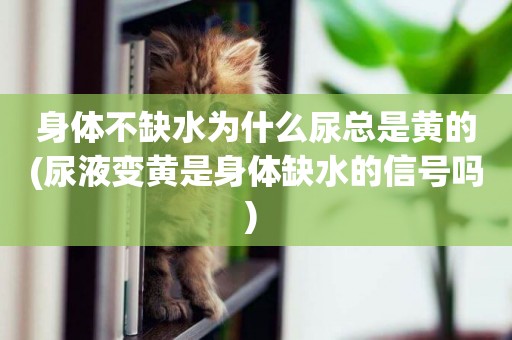 身體不缺水為什么尿總是黃的(尿液變黃是身體缺水的信號嗎) 