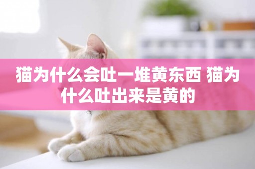 貓為什么會吐一堆黃東西 貓為什么吐出來是黃的
