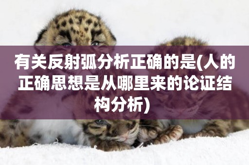 有關反射弧分析正確的是(人的正確思想是從哪里來的論證結構分析) 