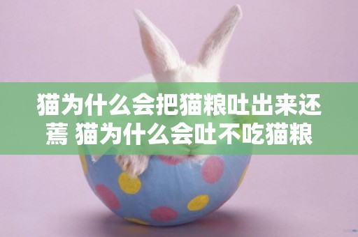 貓為什么會把貓糧吐出來還蔫 貓為什么會吐不吃貓糧