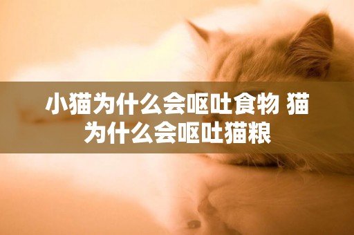 小貓為什么會嘔吐食物 貓為什么會嘔吐貓糧