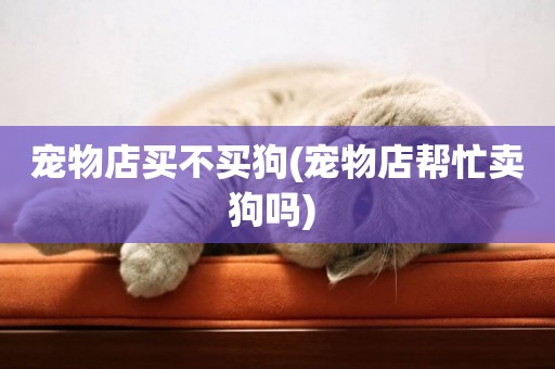 寵物店買不買狗(寵物店幫忙賣狗嗎) 