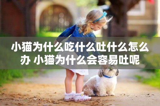 小貓為什么吃什么吐什么怎么辦 小貓為什么會容易吐呢