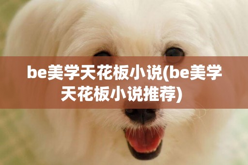 be美學天花板小說(be美學天花板小說推薦) 