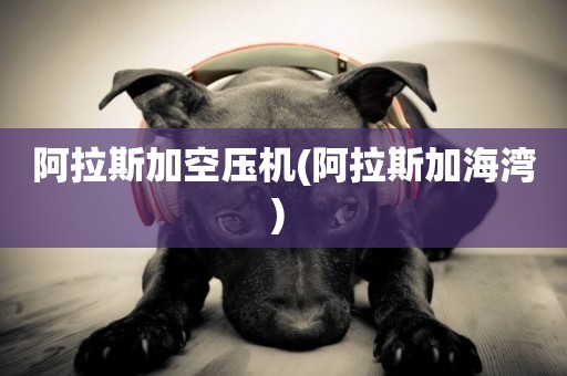阿拉斯加空壓機(阿拉斯加海灣) 