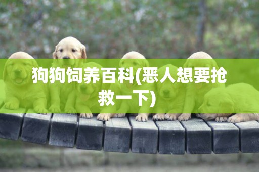 狗狗飼養百科(惡人想要搶救一下) 
