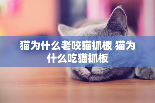 貓為什么老咬貓抓板 貓為什么吃貓抓板
