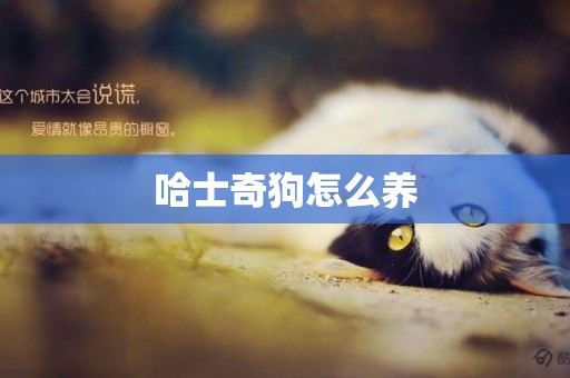 哈士奇狗怎么養