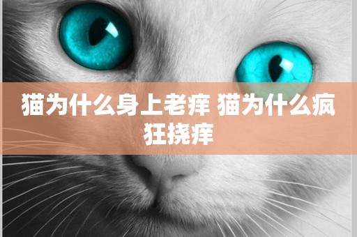 貓為什么身上老癢 貓為什么瘋狂撓癢
