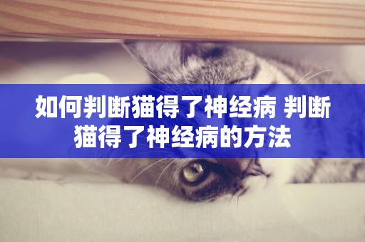 如何判斷貓得了神經病 判斷貓得了神經病的方法