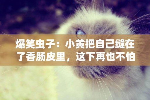 爆笑蟲子:小黃把自己縫在了香腸皮里,這下再也不怕癢了 爆笑蟲子:小黃把自己縫在了香腸皮里,這下再也不怕癢了