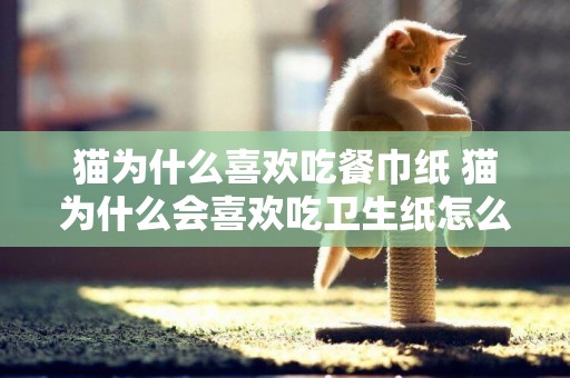 貓為什么喜歡吃餐巾紙 貓為什么會喜歡吃衛生紙怎么辦