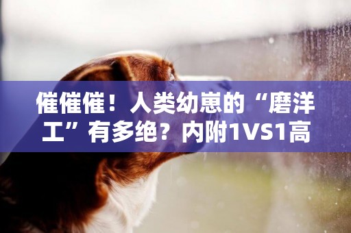 催催催！人類幼崽的“磨洋工”有多絕？內附1VS1高效催促秘籍 