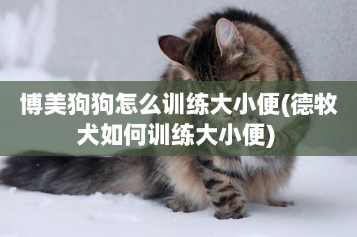 博美狗狗怎么訓練大小便(德牧犬如何訓練大小便) 