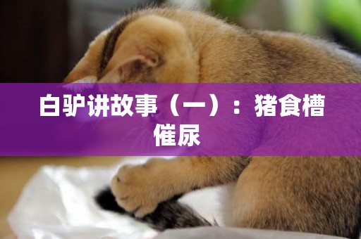 白驢講故事（一）：豬食槽催尿 