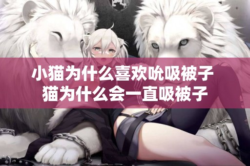 小貓為什么喜歡吮吸被子 貓為什么會一直吸被子
