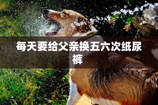 每天要給父親換五六次紙尿褲 