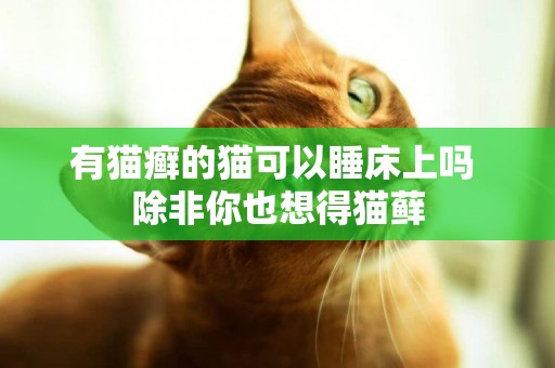 有貓癬的貓可以睡床上嗎 除非你也想得貓蘚
