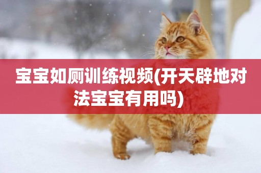 寶寶如廁訓練視頻(開天辟地對法寶寶有用嗎) 