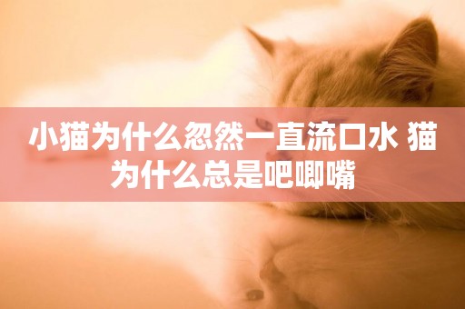 小貓為什么忽然一直流口水 貓為什么總是吧唧嘴