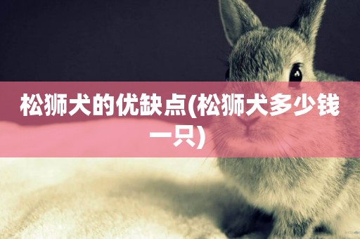松獅犬的優缺點(松獅犬多少錢一只) 