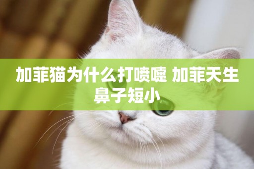 加菲貓為什么打噴嚏 加菲天生鼻子短小