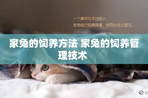 家兔的飼養方法 家兔的飼養管理技術 