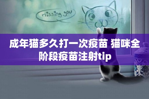 成年貓多久打一次疫苗 貓咪全階段疫苗注射tip 成年貓多久打一次疫苗 貓咪全階段疫苗注射tip