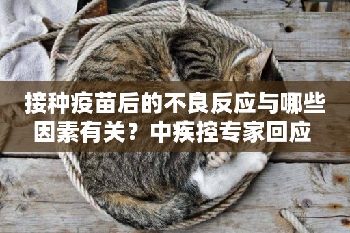 接種疫苗后的不良反應與哪些因素有關？中疾控專家回應 
