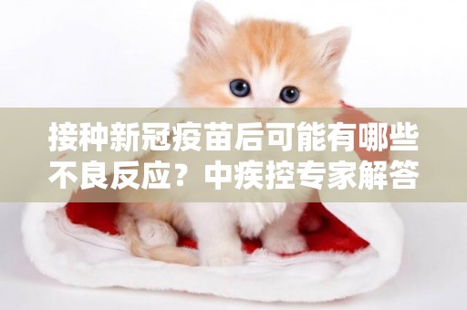 接種新冠疫苗后可能有哪些不良反應？中疾控專家解答 