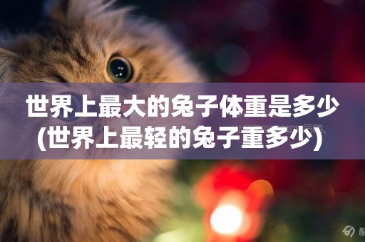 世界上最大的兔子體重是多少(世界上最輕的兔子重多少) 