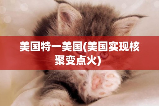 美國特一美國(美國實現核聚變點火) 
