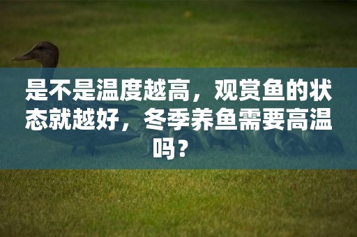 是不是溫度越高，觀賞魚的狀態就越好，冬季養魚需要高溫嗎？ 