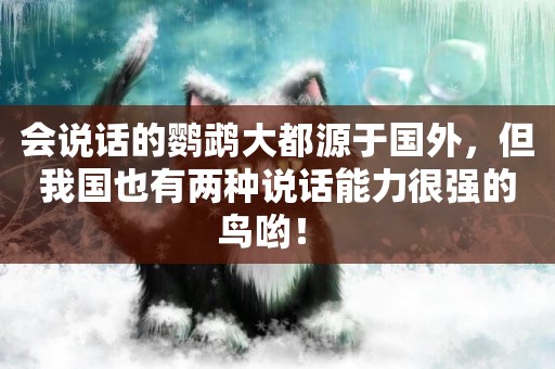 會說話的鸚鵡大都源于國外，但我國也有兩種說話能力很強的鳥喲！ 