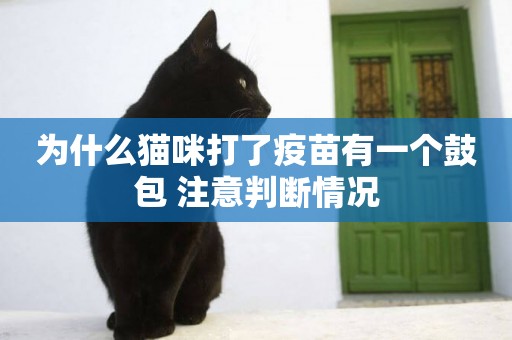 為什么貓咪打了疫苗有一個鼓包 注意判斷情況