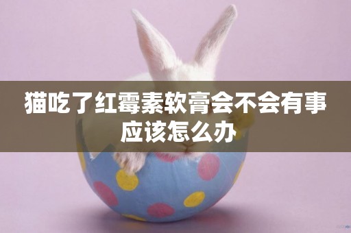 貓吃了紅霉素軟膏會不會有事 應該怎么辦